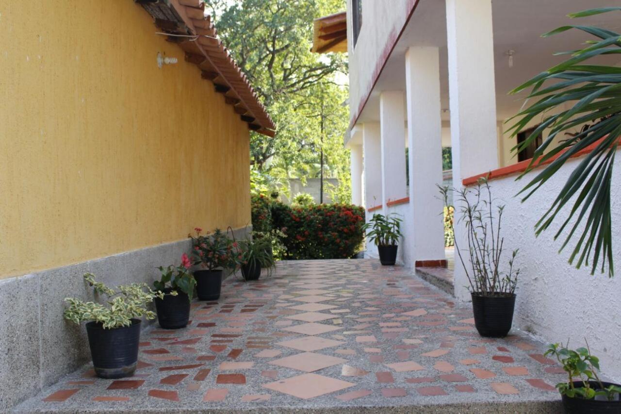 Guest house Cabana Los Gansos *