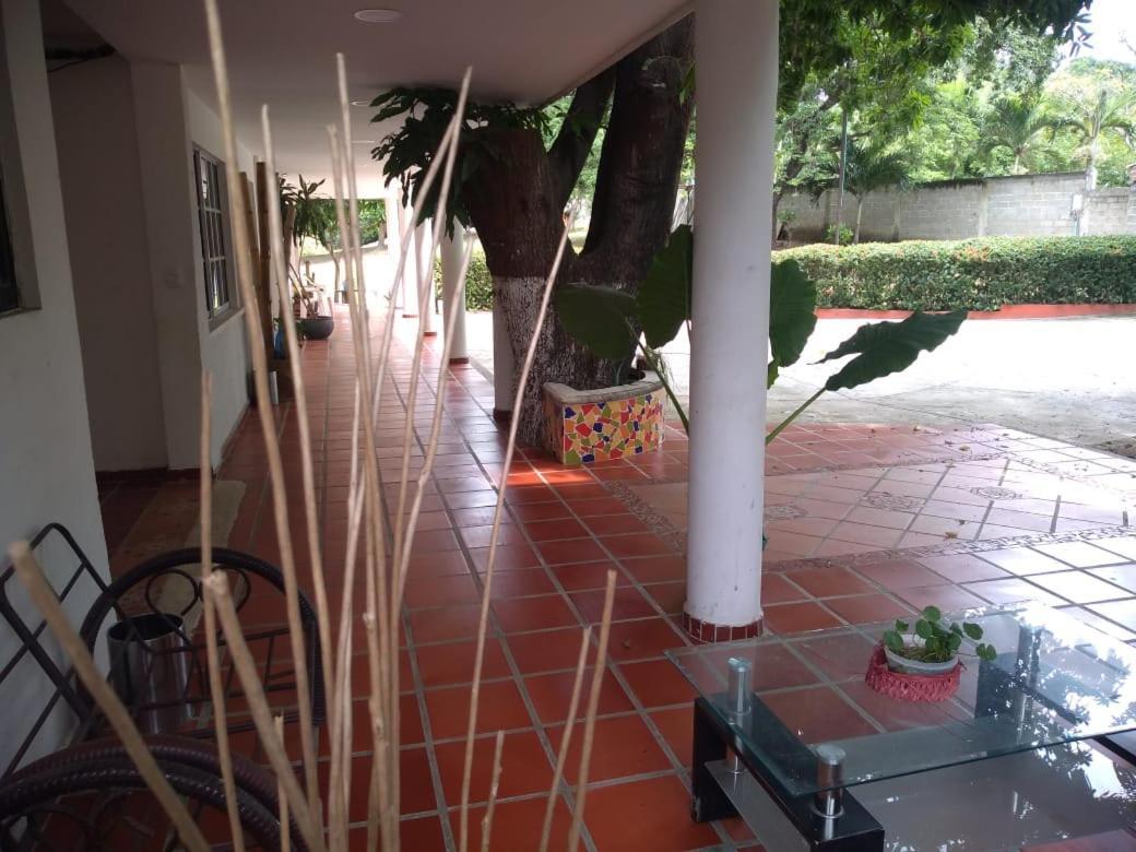 Guest house Cabana Los Gansos