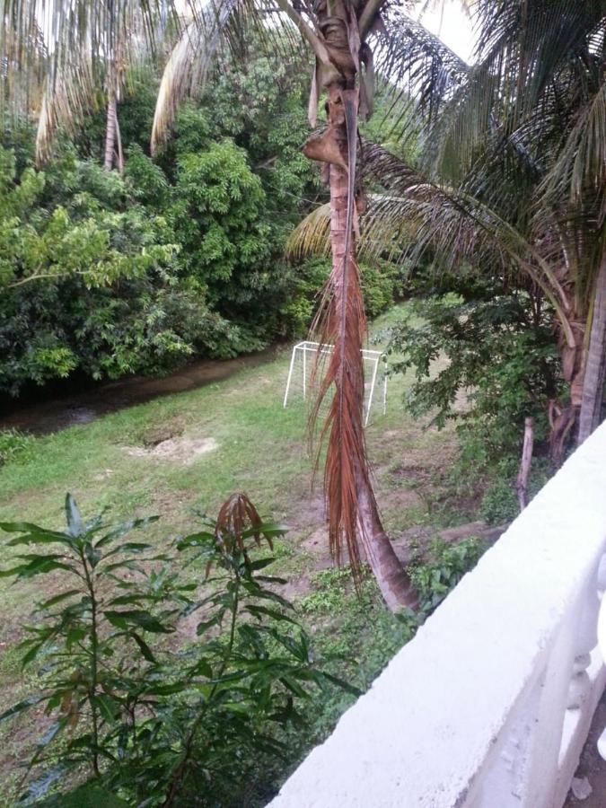 Guest house Cabana Los Gansos *