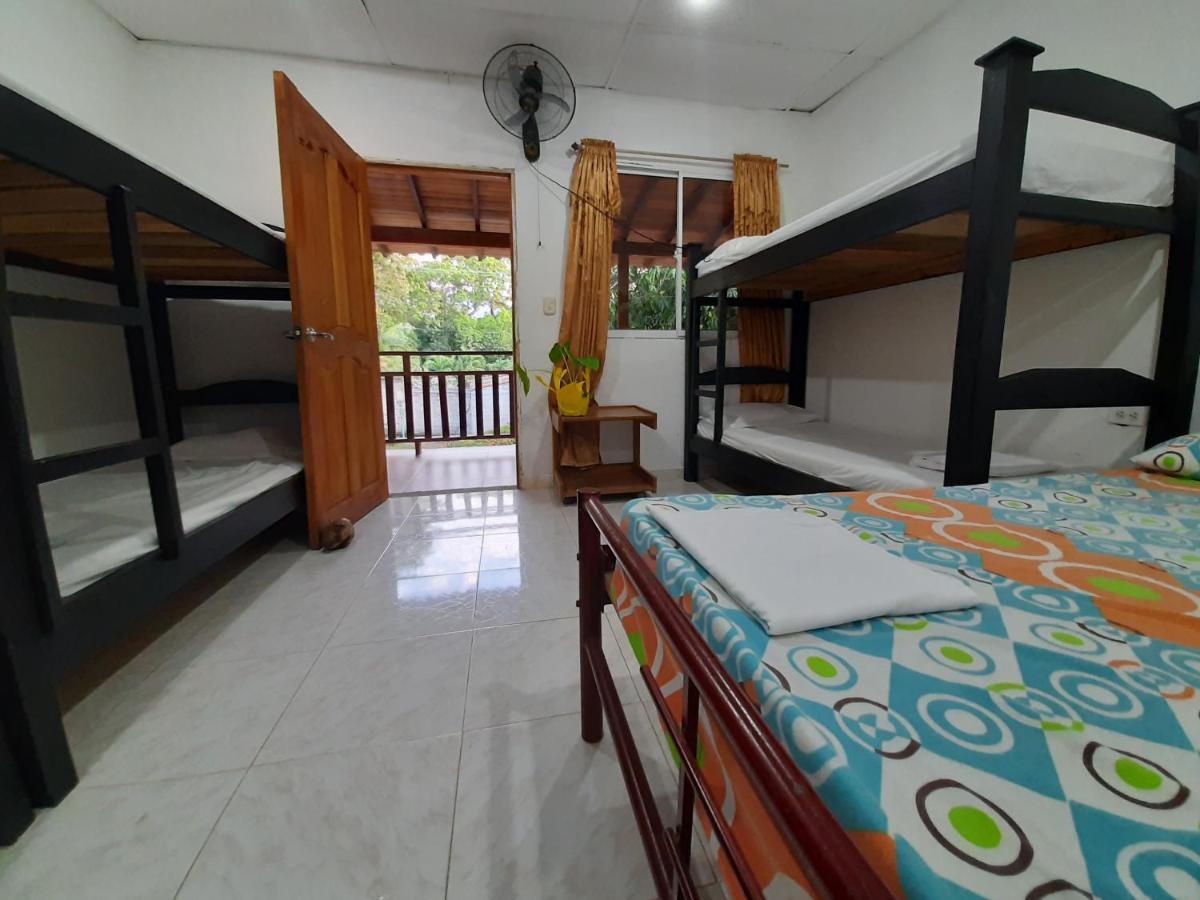 Guest house Cabana Los Gansos